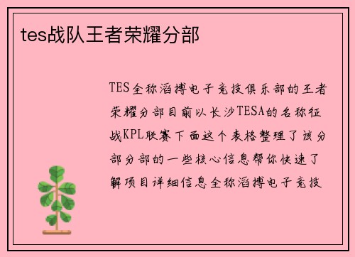 tes战队王者荣耀分部